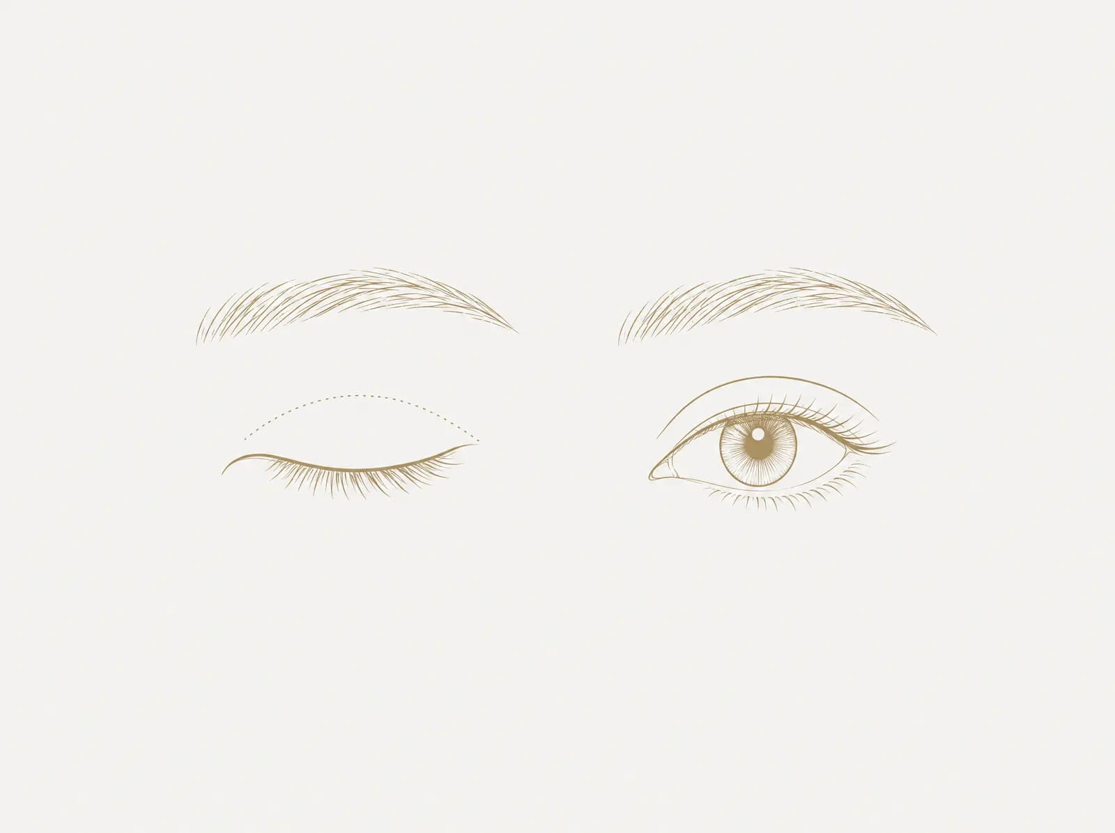 ภาพลายเส้นดวงตาสองข้างใต้คิ้ว ตาซ้ายหลับอยู่และมีเส้นประลากตามเปลือกตาบน ส่วนตาขวาลืมอยู่