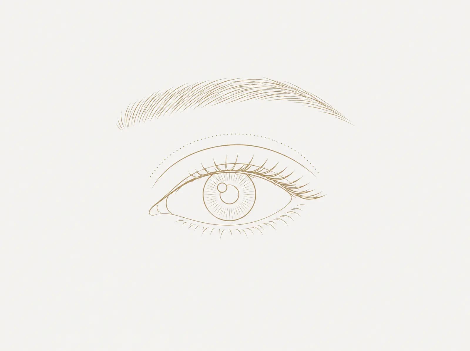 Line drawing of an open eye under its eyebrow, with a dotted arc in the space between the upper eyelid and the brow.