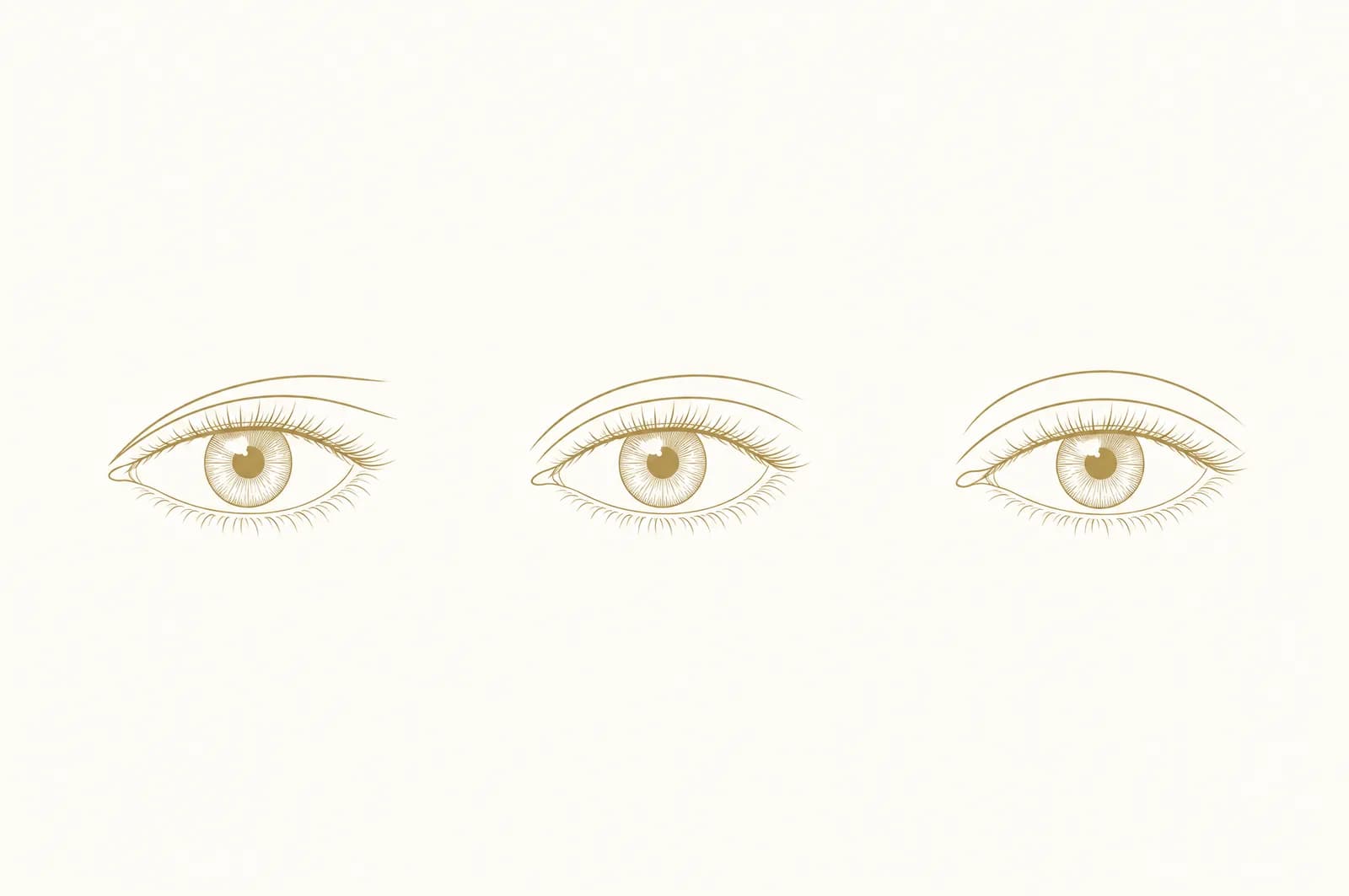 Drei offene Augen als Strichzeichnung, jedes mit einer anderen Lidfalte: Die erste beginnt am inneren Augenwinkel und wird nach außen breiter, die zweite knapp darüber, die dritte verläuft durchgehend im gleichen Abstand zum Lidrand.