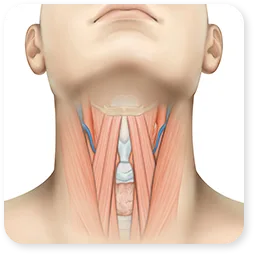 Gambar Step 01 dari klinik, untuk pembuangan lemak di antara dan di bawah otot leher.